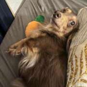 まお♡艷やかな敏感F乳美女♡ まお 即生専門店ゴッドパイ