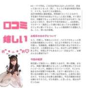 ヒメ日記 2025/11/13 06:00 投稿 しゅりな ドリーム水戸