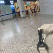 ヒメ日記 2026/01/30 10:30 投稿 しゅりな ドリーム水戸