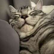 しゅうか 花粉なんてアルコールでぶっ飛ばそう🍻 PINK ROOM（ピンクルーム）