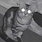 しゅうか 土曜日なり👶🏻🙌🏻🙌🏻 PINK ROOM（ピンクルーム）