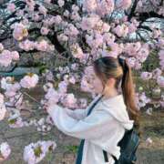 せな 🌸 PINK ROOM（ピンクルーム）