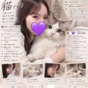ヒメ日記 2026/09/14 19:46 投稿 せな PINK ROOM（ピンクルーム）