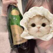 ヒメ日記 2025/10/29 20:09 投稿 りょうか PINK ROOM（ピンクルーム）