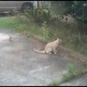 ヒメ日記 2025/10/29 14:13 投稿 しおん Sexy Club 月TOKYO