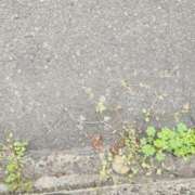 ヒメ日記 2026/04/19 13:09 投稿 愛菜（あいな）M性感 痴女CLUB アンダーカバー