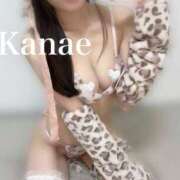 かなえ 復活 DCP