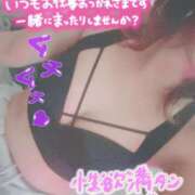 ヒメ日記 2025/11/12 11:24 投稿 すばる 柏人妻花壇