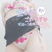 ヒメ日記 2025/12/11 18:37 投稿 すばる 柏人妻花壇