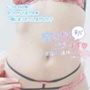 すばる 今月も宜しくお願いします❣️本日のワードは…ね❓ 柏人妻花壇