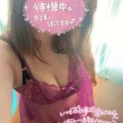 せいら 出勤してます 妻天 京橋店