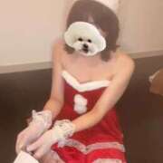 ヒメ日記 2025/12/08 19:17 投稿 みく 三つ乱本館