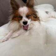 ヒメ日記 2025/12/03 18:03 投稿 野田いおり PLAY