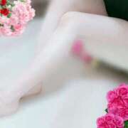 ヒメ日記 2025/11/01 19:36 投稿 こよみ ルピナスパルフェ