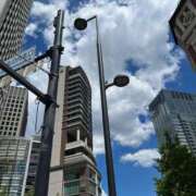 ヒメ日記 2025/11/09 21:40 投稿 こよみ ルピナスパルフェ