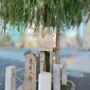 ヒメ日記 2025/11/17 13:27 投稿 こよみ ルピナスパルフェ