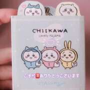 ヒメ日記 2025/11/20 09:22 投稿 こよみ ルピナスパルフェ