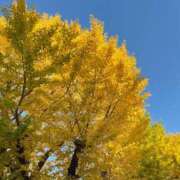 ヒメ日記 2025/11/23 21:01 投稿 こよみ ルピナスパルフェ