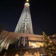 ヒメ日記 2025/11/29 07:38 投稿 こよみ ルピナスパルフェ