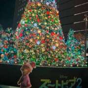 ヒメ日記 2025/12/18 19:58 投稿 こよみ ルピナスパルフェ