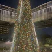 ヒメ日記 2025/12/12 20:48 投稿 樋口 麻里奈 クラブアイリス大阪