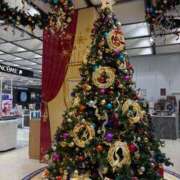 ヒメ日記 2025/12/10 07:17 投稿 森田ふたば 全裸革命orおもいっきり痴漢電車