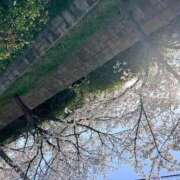 ヒメ日記 2026/04/16 06:27 投稿 森田ふたば 全裸革命orおもいっきり痴漢電車