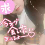 ふゆ まってるー！ 京都祇園・南インターちゃんこ