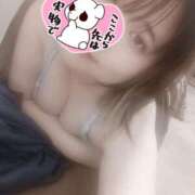 ヒメ日記 2026/04/08 18:28 投稿 ふゆ 京都祇園・南インターちゃんこ