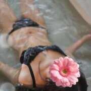 ヒメ日記 2026/03/25 16:24 投稿 あいり 沼津ハンパじゃない東京