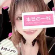 ヒメ日記 2025/10/30 09:44 投稿 しいな 男爵