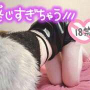 ヒメ日記 2025/10/30 19:20 投稿 しいな 男爵