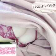 ヒメ日記 2025/11/12 07:30 投稿 しいな 男爵