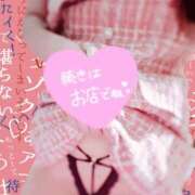 ヒメ日記 2025/11/12 20:34 投稿 しいな 男爵