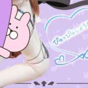 ヒメ日記 2025/11/15 11:33 投稿 しいな 男爵