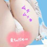 ヒメ日記 2025/11/17 11:27 投稿 しいな 男爵