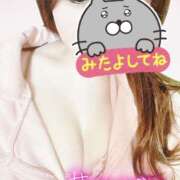 ヒメ日記 2025/11/19 19:36 投稿 しいな 男爵