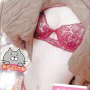 ヒメ日記 2025/12/02 17:23 投稿 しいな 男爵