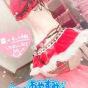 ヒメ日記 2025/12/21 12:30 投稿 しいな 男爵