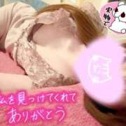 ヒメ日記 2026/01/09 01:53 投稿 しいな 男爵