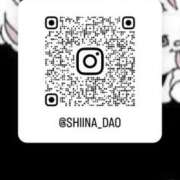 ヒメ日記 2026/01/14 10:09 投稿 しいな 男爵