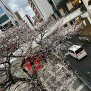 ヒメ日記 2026/03/27 13:48 投稿 しいな 男爵