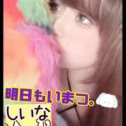 ヒメ日記 2026/04/18 23:45 投稿 しいな 男爵