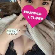 ヒメ日記 2025/11/14 08:42 投稿 みく ごほうびSPA 大阪店