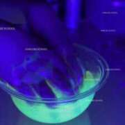 ヒメ日記 2025/12/11 23:52 投稿 みく ごほうびSPA 大阪店