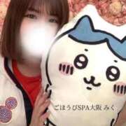 ヒメ日記 2025/12/16 07:02 投稿 みく ごほうびSPA 大阪店