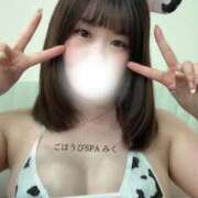 ヒメ日記 2026/03/20 02:02 投稿 みく ごほうびSPA 大阪店