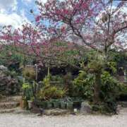 ヒメ日記 2026/02/23 08:16 投稿 さくら☆Eカップ新人 AQUA（辻）