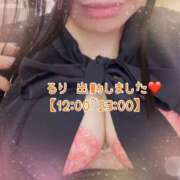 ヒメ日記 2026/03/30 12:00 投稿 るり セレブクエスト-koshigaya-