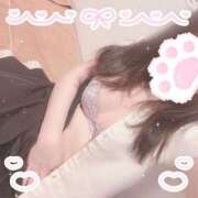 ヒメ日記 2026/04/04 20:49 投稿 藤白あめ Mrs. Dandy Shibuya